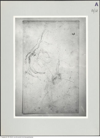 Vorderseite von bh522361_recto