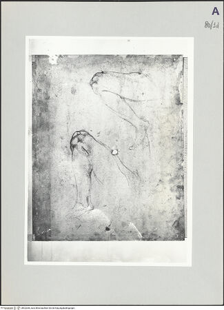 Vorderseite von bh522366_recto