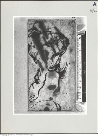 Vorderseite von bh522369_recto