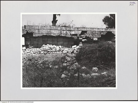 Vorderseite von bh522456_recto