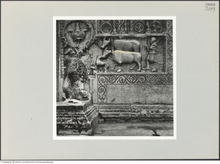 Vorderseite von bh522521_recto