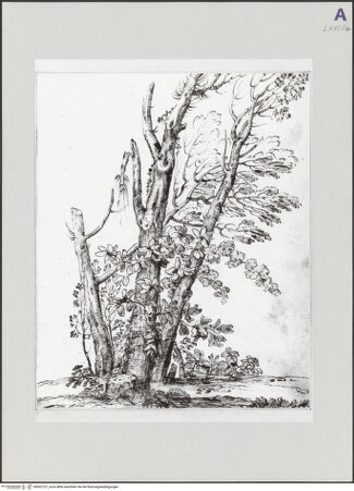 Vorderseite von bh522727_recto