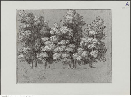 Vorderseite von bh522756_recto