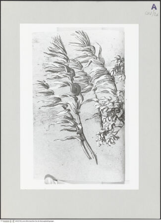 Vorderseite von bh522760_recto