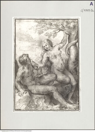 Vorderseite von bh522908_recto