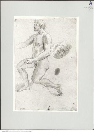 Vorderseite von bh522919_recto