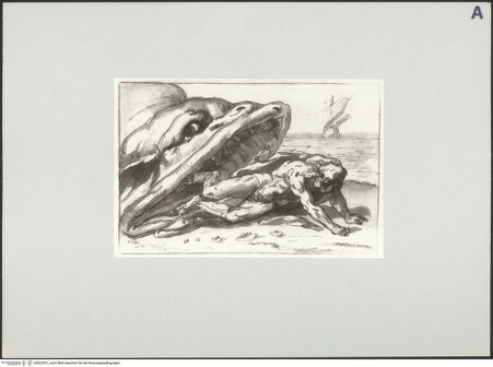 Vorderseite von bh522921_recto