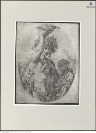 Vorderseite von bh523079_recto