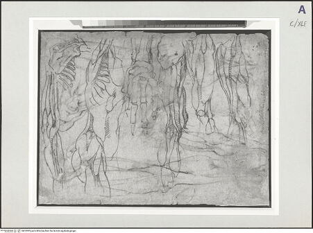 Vorderseite von bh523085_recto