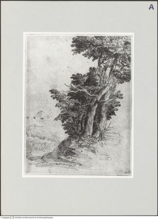 Vorderseite von bh523092_recto