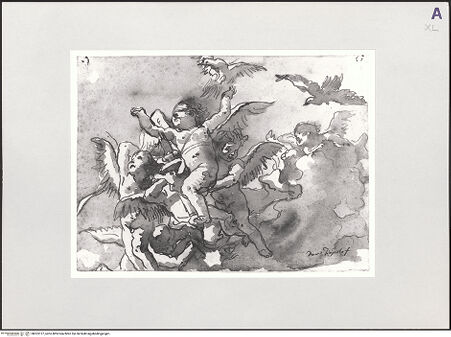 Vorderseite von bh523127_recto