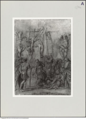 Vorderseite von bh523129_recto