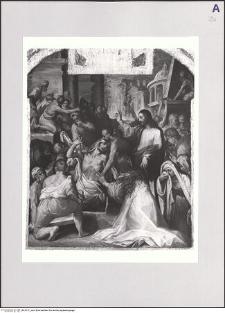 Vorderseite von bh523161_recto