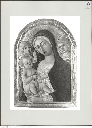 Vorderseite von bh523166_recto