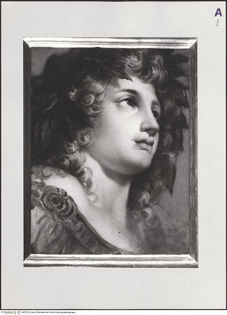 Vorderseite von bh523167_recto