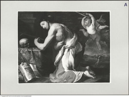 Vorderseite von bh523183_recto