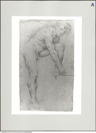 Vorderseite von bh523198_recto