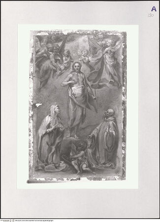 Vorderseite von bh523209_recto