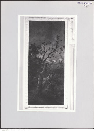 Vorderseite von bh523296_recto