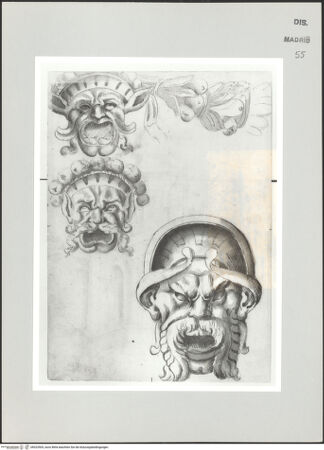 Vorderseite von bh523505_recto