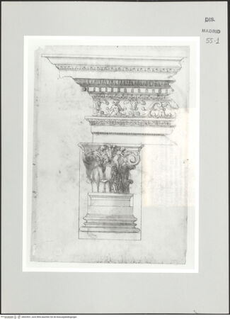 Vorderseite von bh523531_recto