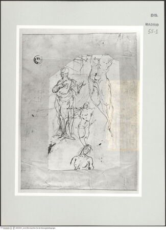 Vorderseite von bh523541_recto