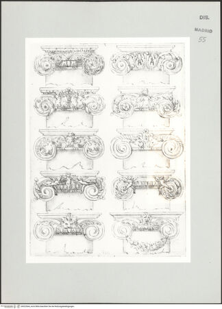 Vorderseite von bh523564_recto