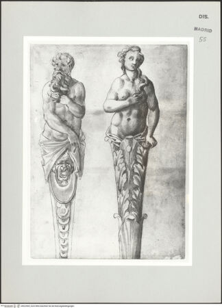 Vorderseite von bh523569_recto