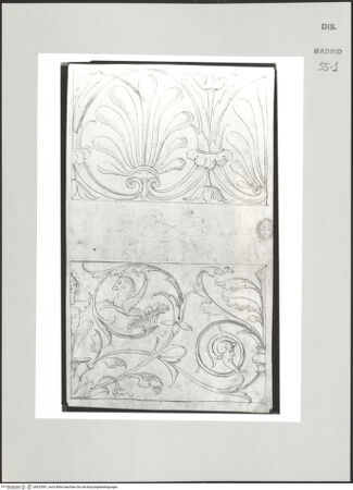 Vorderseite von bh523591_recto