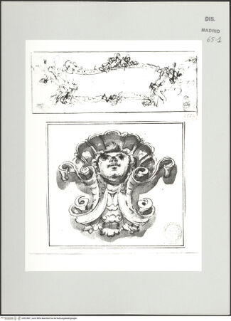 Vorderseite von bh523681_recto