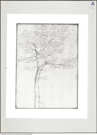 Vorderseite von bh523874_recto