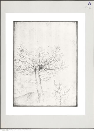 Vorderseite von bh523876_recto