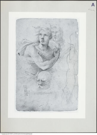 Vorderseite von bh523891_recto