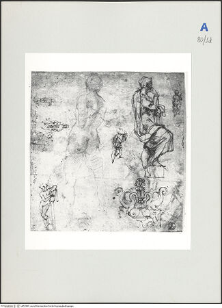 Vorderseite von bh523981_recto