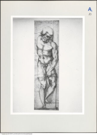 Vorderseite von Sopr BAS Fi [https://www.deutsche-digitale-bibliothek.de/content/lizenzen/rv-ez/] Einer von Michelangelos unvollendeten Sklaven - , bh523991_recto. Foto.