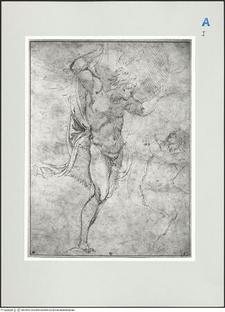 Vorderseite von bh523994_recto