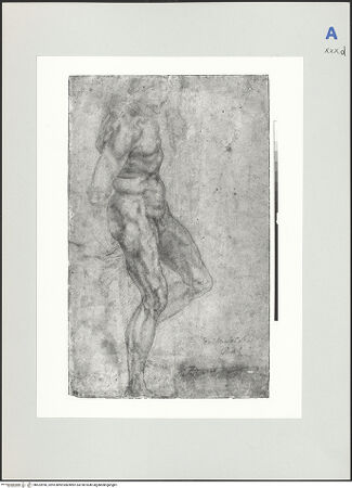 Vorderseite von bh523996_recto