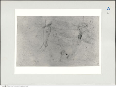 Vorderseite von bh523998_recto