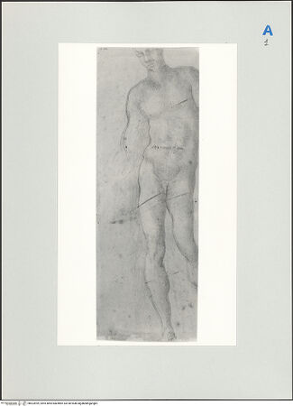 Vorderseite von bh523999_recto