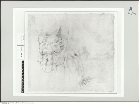 Vorderseite von bh524003_recto