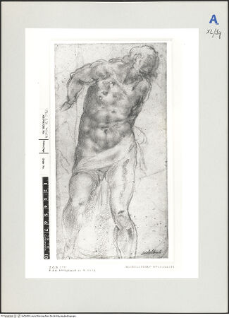 Vorderseite von bh524004_recto