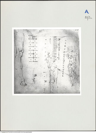 Vorderseite von bh524009_recto