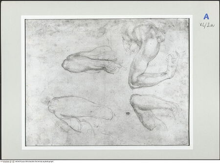 Vorderseite von bh524014_recto