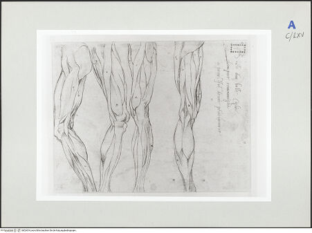 Vorderseite von bh524016_recto