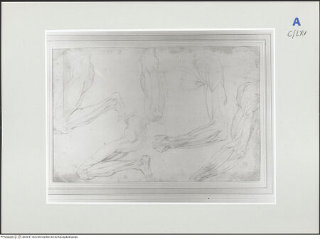 Vorderseite von bh524017_recto