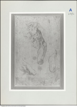 Vorderseite von bh524018_recto