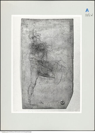 Vorderseite von bh524020_recto