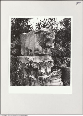 Vorderseite von Bibliotheca Hertziana [https://www.deutsche-digitale-bibliothek.de/content/lizenzen/rv-fz/] Stierfigur auf einer antiken Konsole - Seitenansicht von links, bh524035_recto. Foto: Schwarz, Heinrich Mathias.