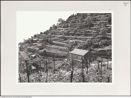 Vorderseite von Bibliotheca Hertziana [https://www.deutsche-digitale-bibliothek.de/content/lizenzen/rv-fz/] San Giovanni Battista - Ansicht, bh524037_recto. Foto: Schwarz, Heinrich Mathias.