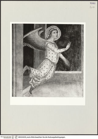 Vorderseite von bh524325_recto